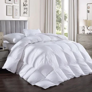 2-Piece Queen Feather & Down Comforter Set